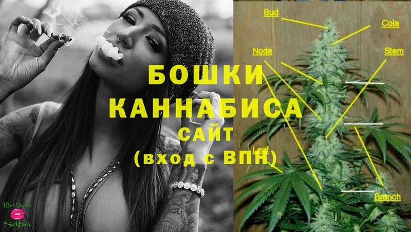 купить наркотик  Лянтор  нарко площадка как зайти  Шишки марихуана Ganja 